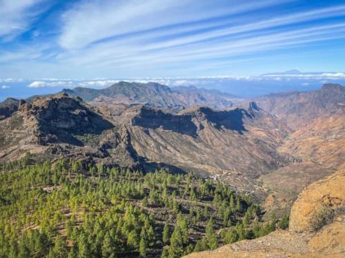 Gran Canaria, en van