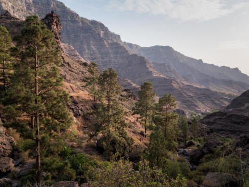 Gran Canaria, en van