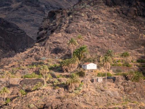 Gran Canaria, en van