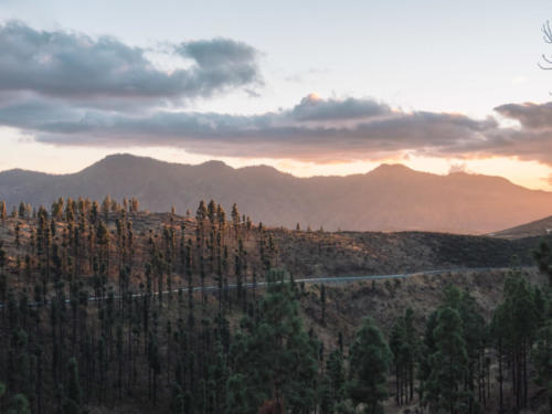 Gran Canaria, en van