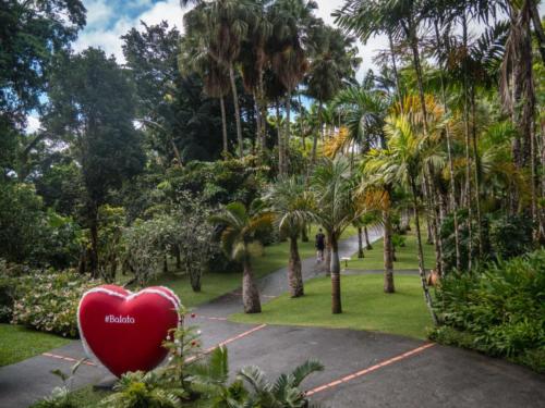 Jardin de Balata, Mq