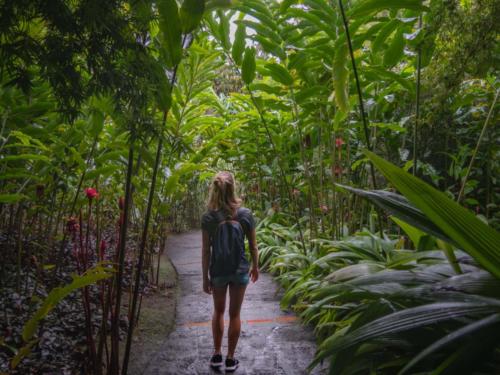 Jardin de Balata, Mq