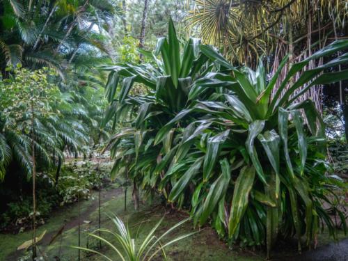 Jardin de Balata, Mq