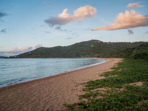 Bivouac Grande Anse, Gwada