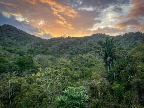 Parc national de Tayrona