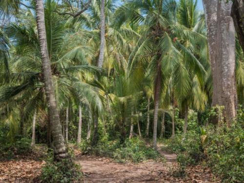 Parc national de Tayrona