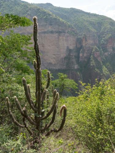 Canyon de Chicomocha