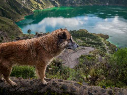 Laguna Quilotoa