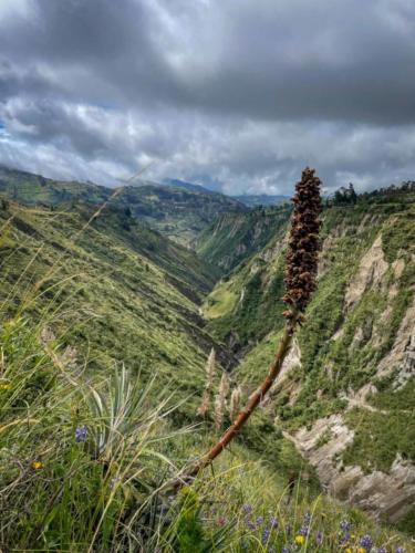 Trek Quilotoa