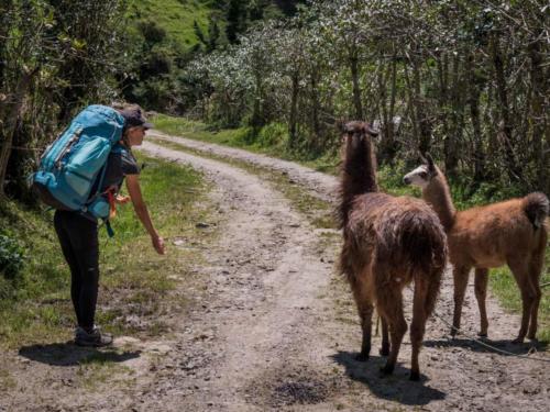 Trek Quilotoa