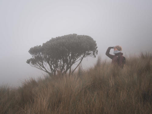 Rando volcan Corazon