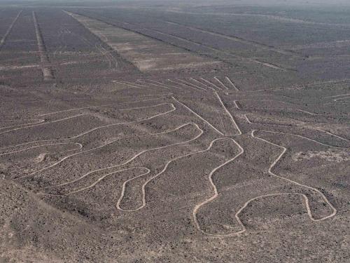 Lignes de Nazca