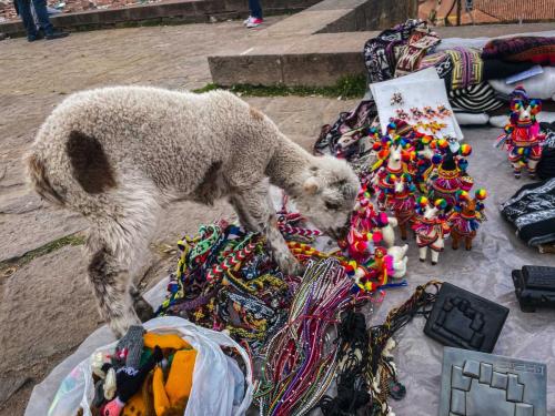 Cusco