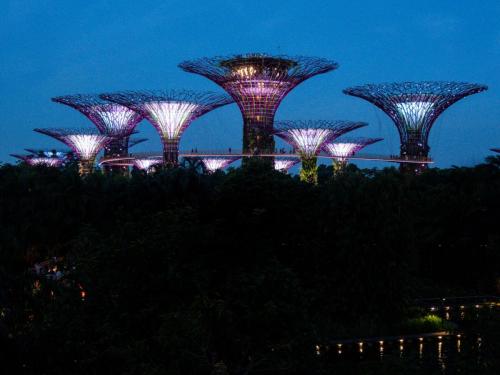 37. Singapour